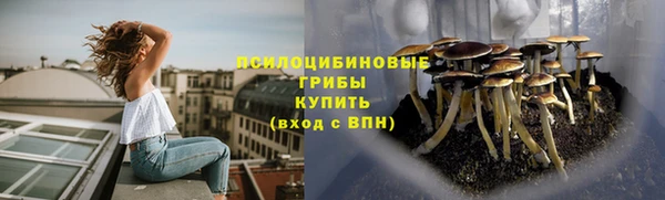 apvp Сясьстрой
