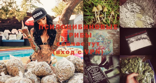 apvp Сясьстрой