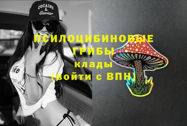 apvp Сясьстрой