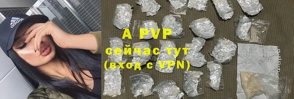 apvp Сясьстрой