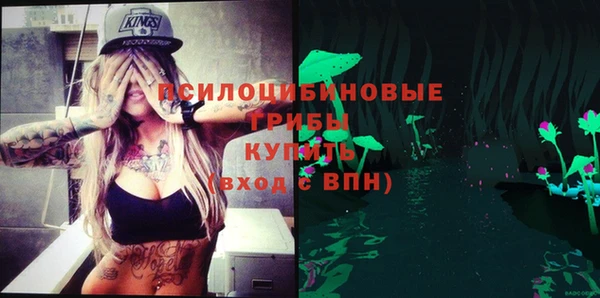 apvp Сясьстрой