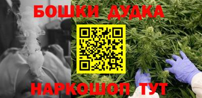 индика Кулебаки