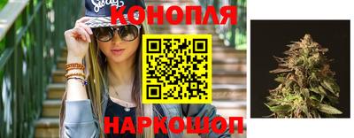 индика Кулебаки