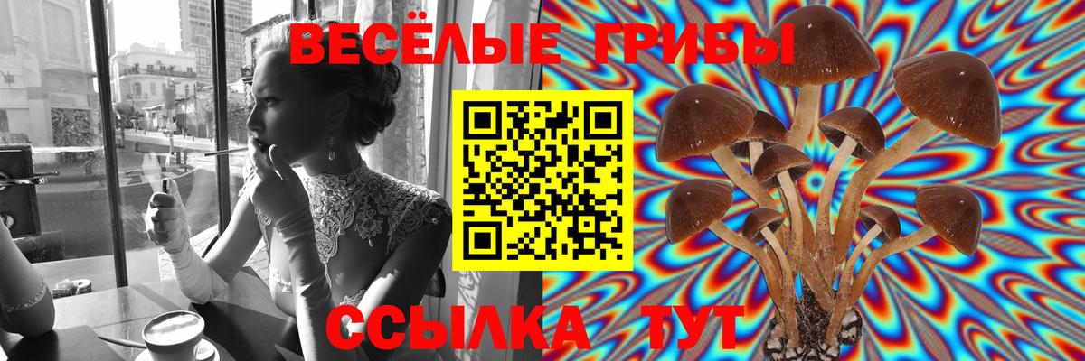 Черногорск  Галлюциногенные грибы GOLDEN TEACHER  Вход с VPN 