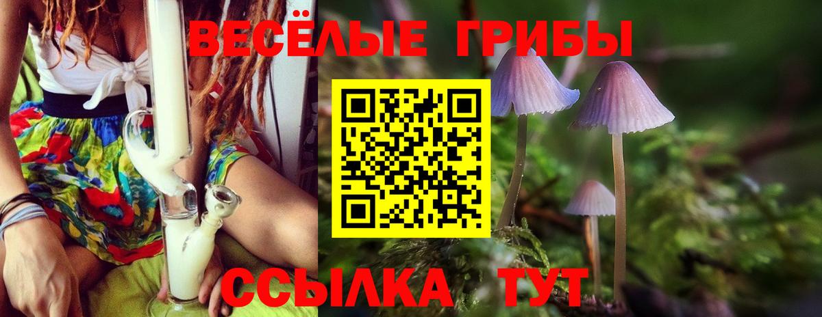NBOMe Черногорск